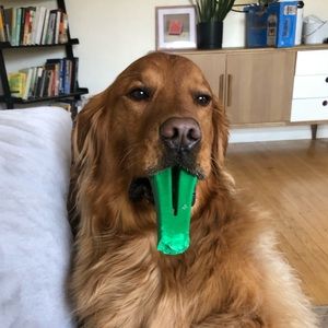 Meet your Posher, Ben